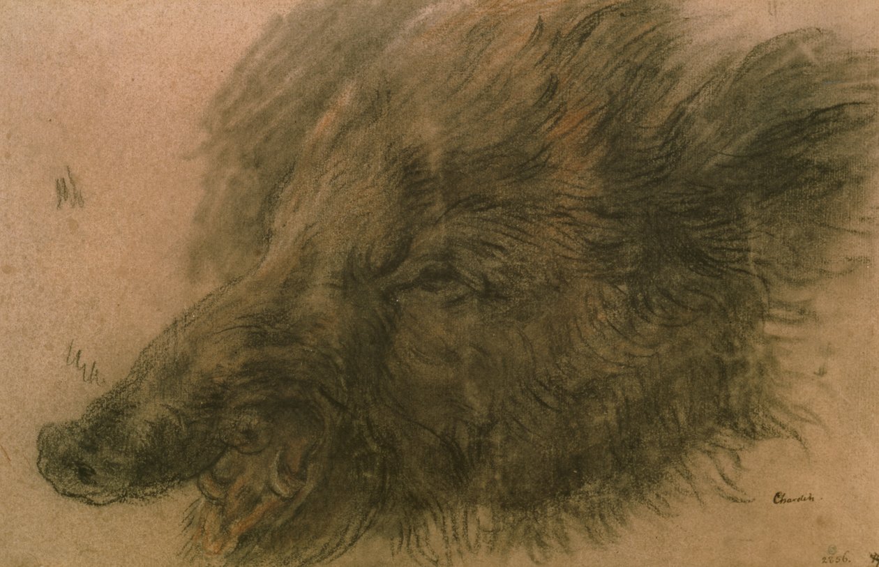 Yaban Domuzu Başkanı (kağıt üzerinde kömür) by Jean Baptiste Simeon Chardin