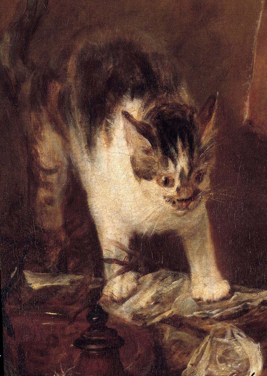 Balık, istiridye, sürahinin natürmort pateni. Kedi detayı. Jean Baptiste Simeon Chardin (1699-1779) 1727 Sun tarafından tablo. 1,14 x 1,46 m Paris. Louvre müzesi by Jean Baptiste Simeon Chardin