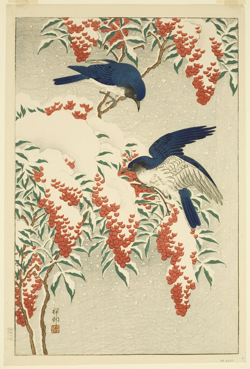 Karla kaplı Nandina üzerinde sinekkapan (renkli tahta baskı) by Jean Baptiste Thonesse