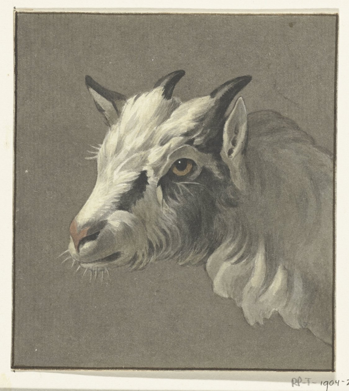 Bir keçinin başı, solda by Jean Bernard