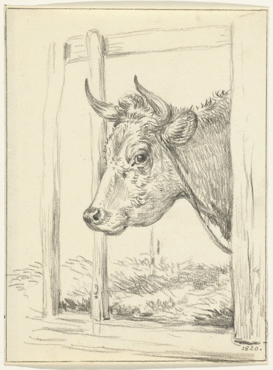 Bir inek başı, ahırda, solda by Jean Bernard