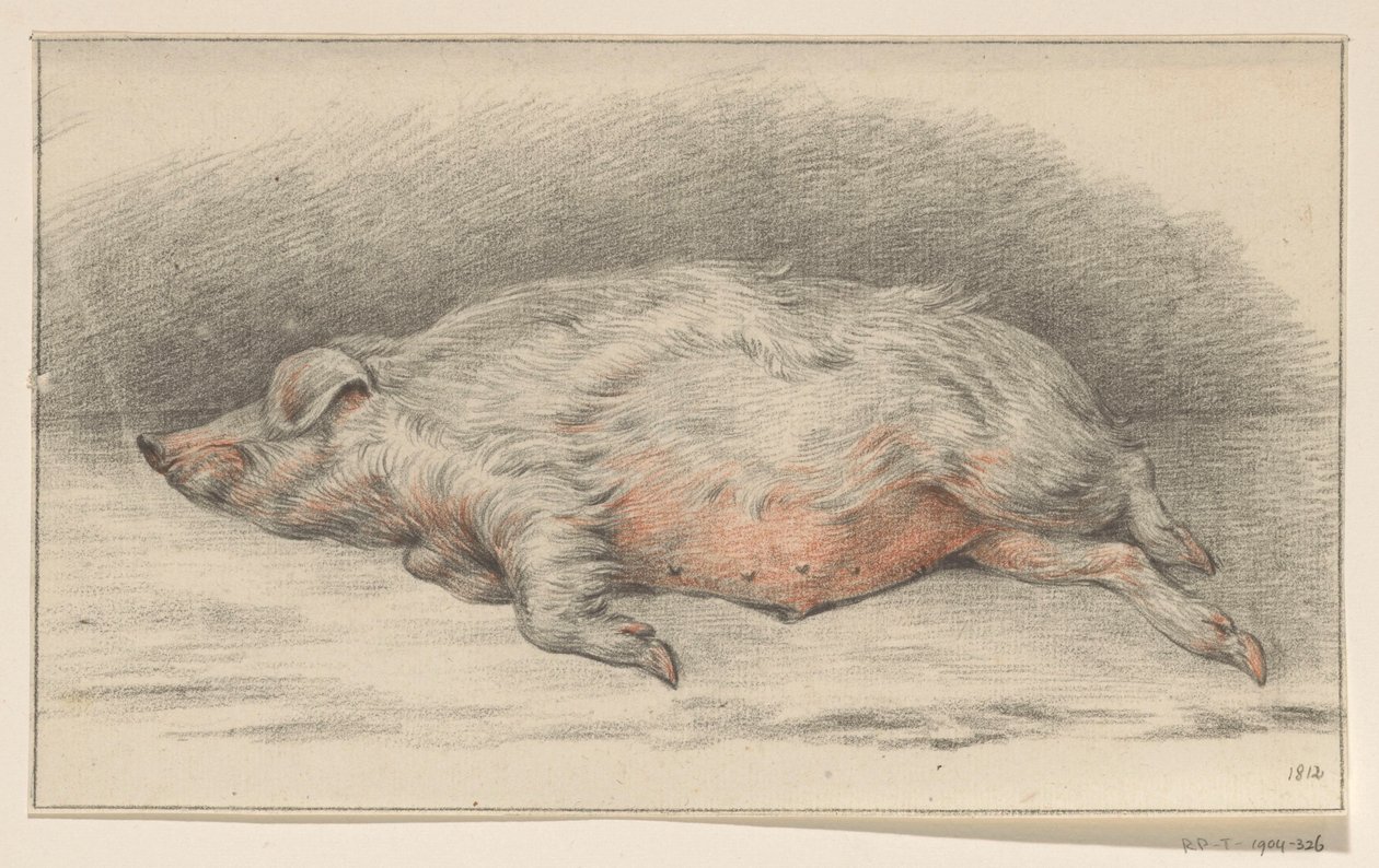 Yalancı domuz, sola by Jean Bernard