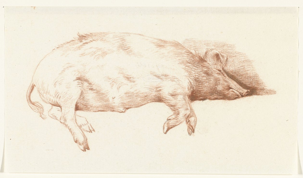 Yalancı domuz, sağda by Jean Bernard