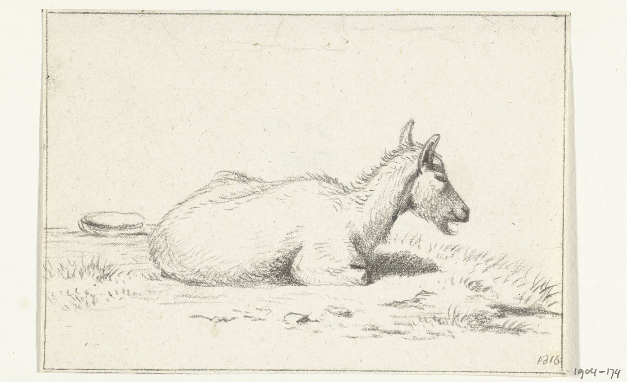 Yalancı keçi, sağa dönük by Jean Bernard