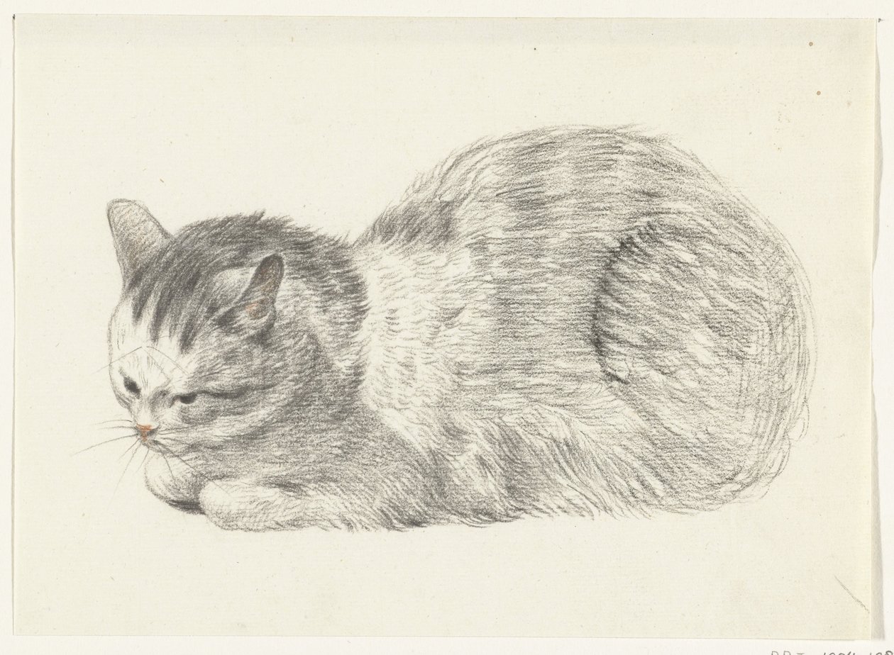 Yalancı kedi, sola by Jean Bernard