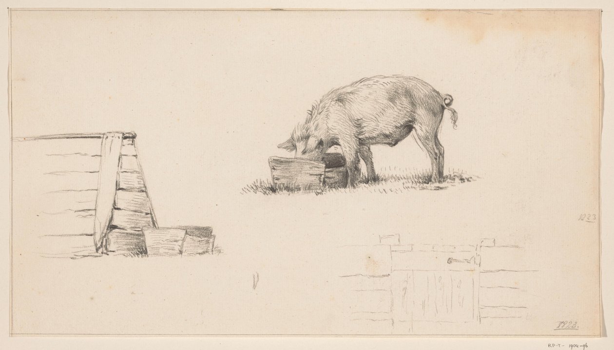 Domuz, bir kalem ve bir çit taslağı by Jean Bernard