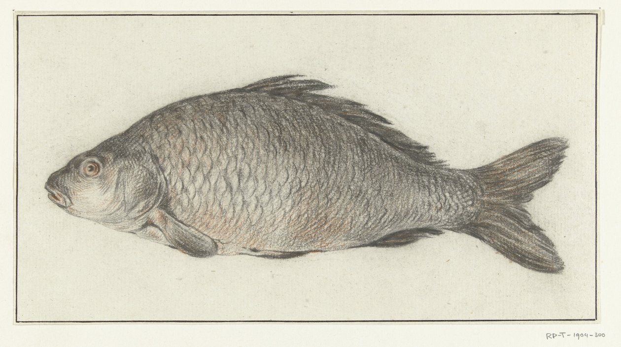 görüş by Jean Bernard