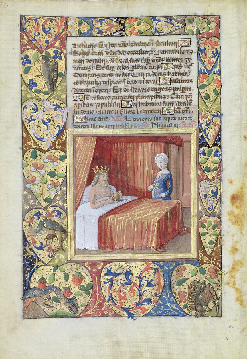 Bayan Lat. Q.v.I.126 f.37v 