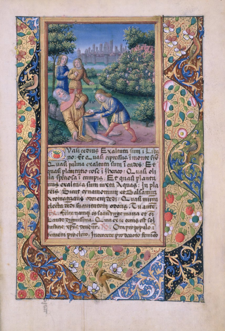 Bayan Lat. Q.v.I.126 fol.17 Nuh