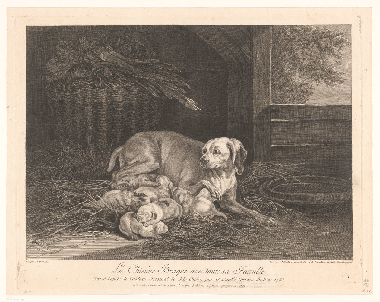 Bracke-hond een stal
