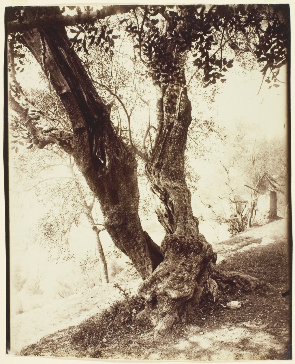  by Jean Eugène Auguste Atget