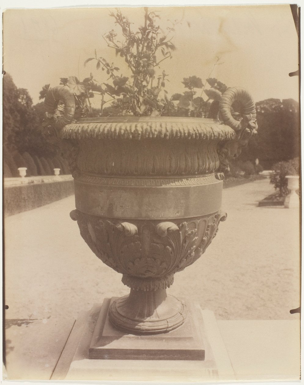 by Jean Eugène Auguste Atget