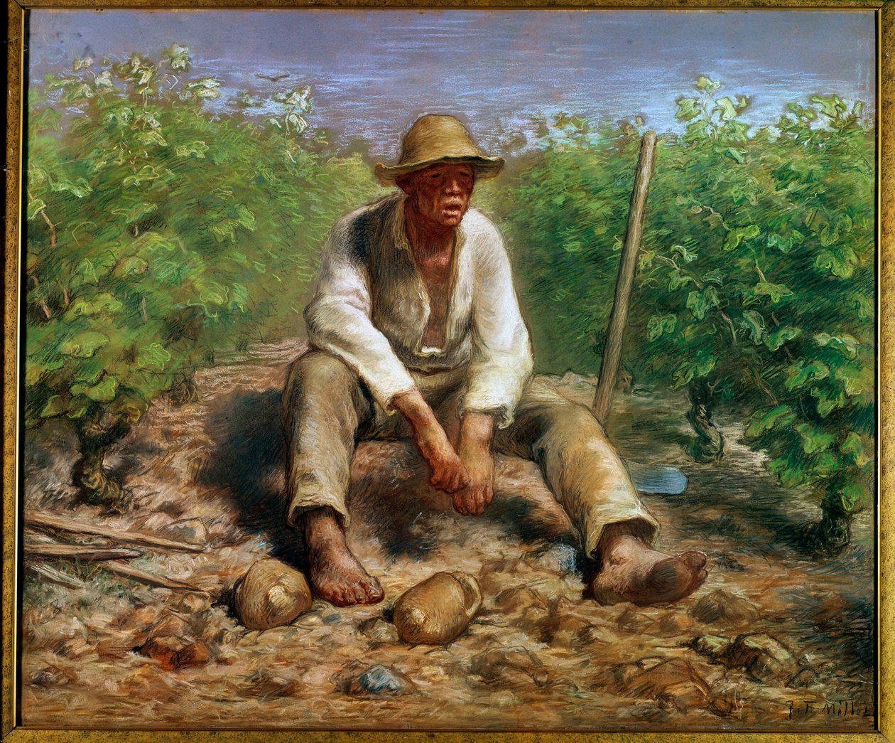Şarap üreticisi Jean Francois Millet