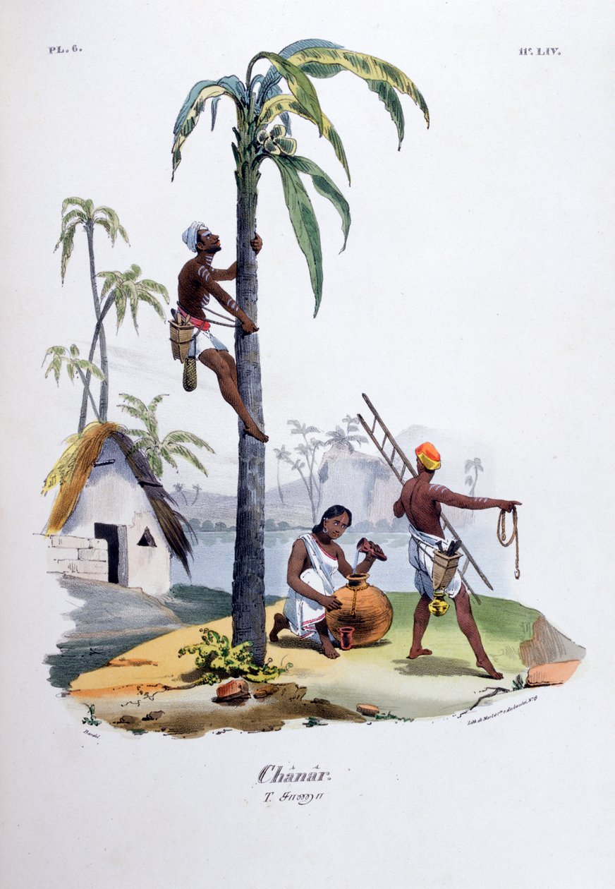 Çanar, 1828 by Jean Henri Marlet