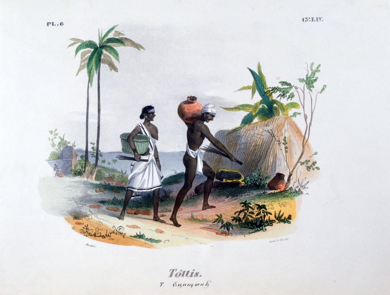 Tottis, 1828 by Jean Henri Marlet