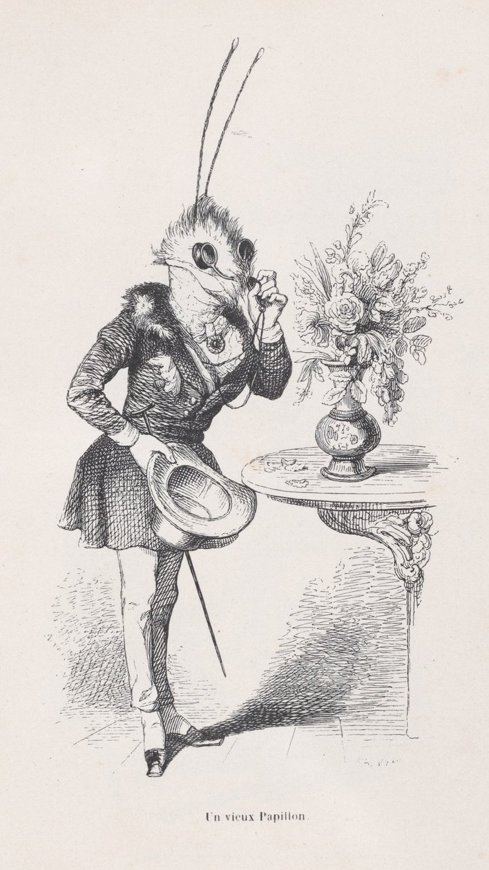 Hayvanların Özel ve Kamusal Yaşamından Sahnelerden Eski Bir Kelebek, M.Ö. 1837-47. by Jean Ignace Isidore Gérard