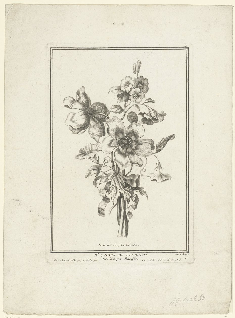 Anemon ve gündüzsefası buketi Anemon basitleri, Volubilis (nesne üzerindeki başlık) IIe Cahier de Bouquets (dizi adı) by Jean Jacques Avril (I)