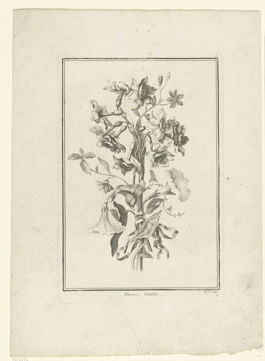 Nergis ve gündüzsefası buketi Narcissus, Volubilis (nesne üzerindeki başlık) IIe Cahier de Bouquets (dizi adı) by Jean Jacques Avril (I)