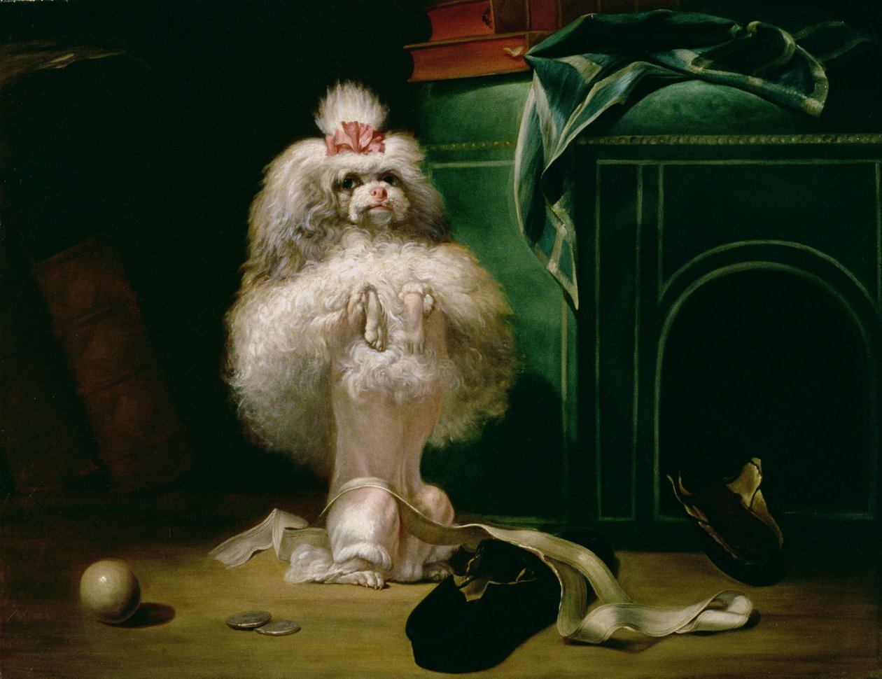 Havannah Cinsinden Bir Köpek, 1768 by Jean Jacques Bachelier