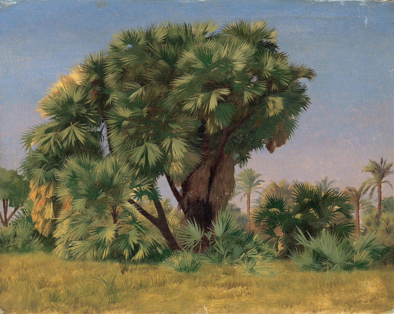 Palmiye Ağaçları Çalışması by Jean Leon Gerome