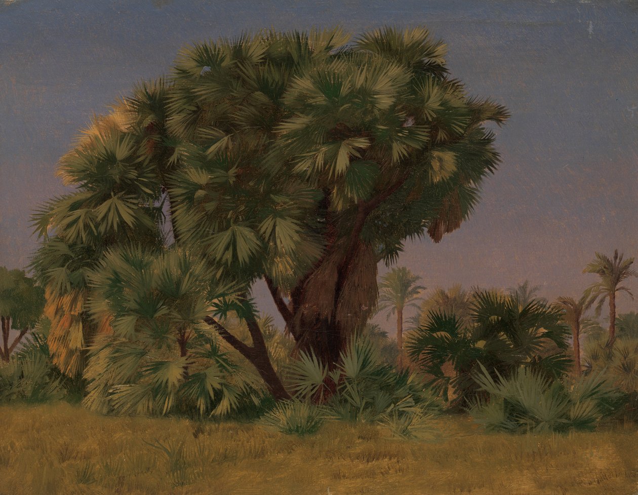 Palmiye Ağaçları Çalışması, muhtemelen 1868. by Jean Leon Gerome