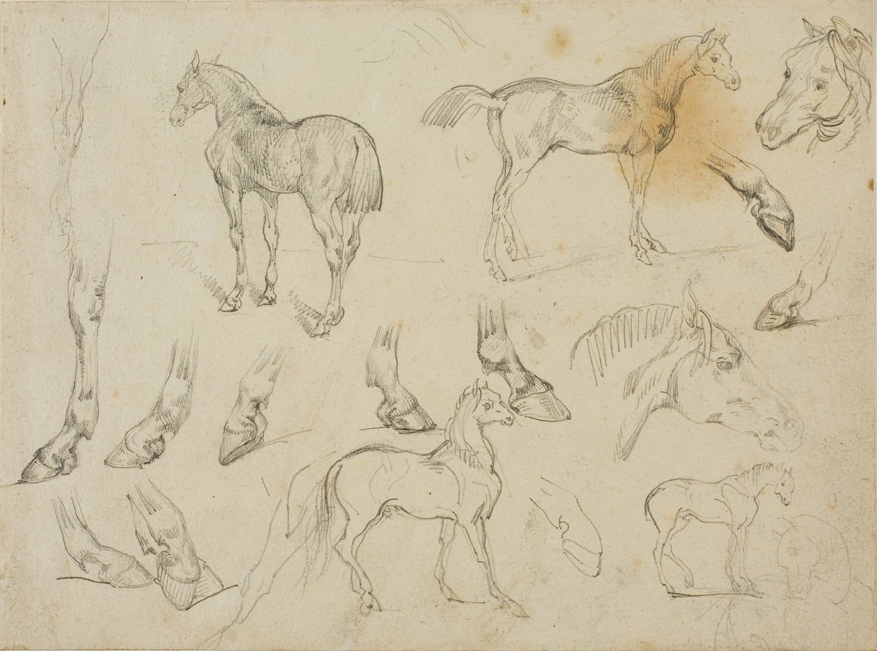  by Jean Louis André Théodore Géricault