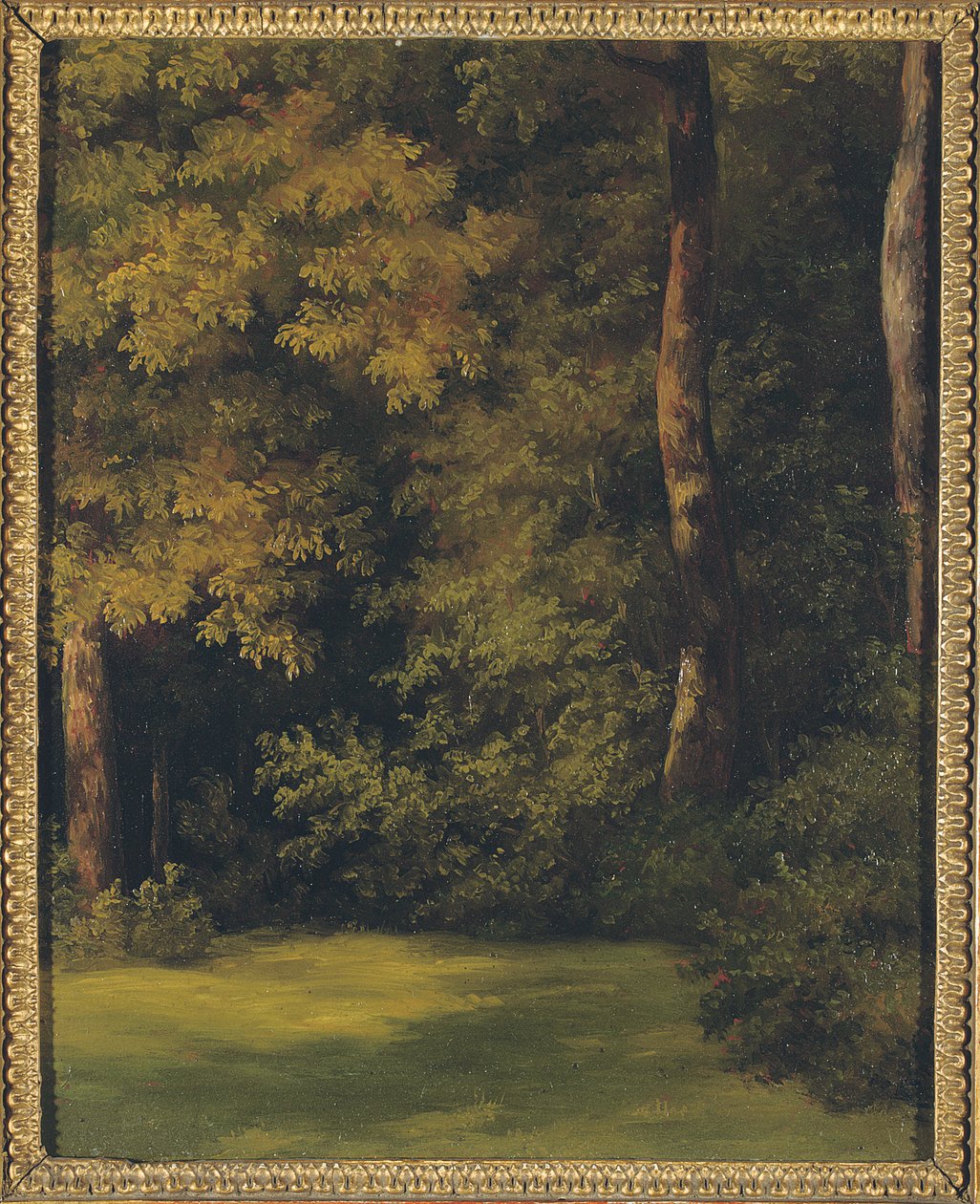 Bir ormanlık alan, 1840 by Jean Michel Cels