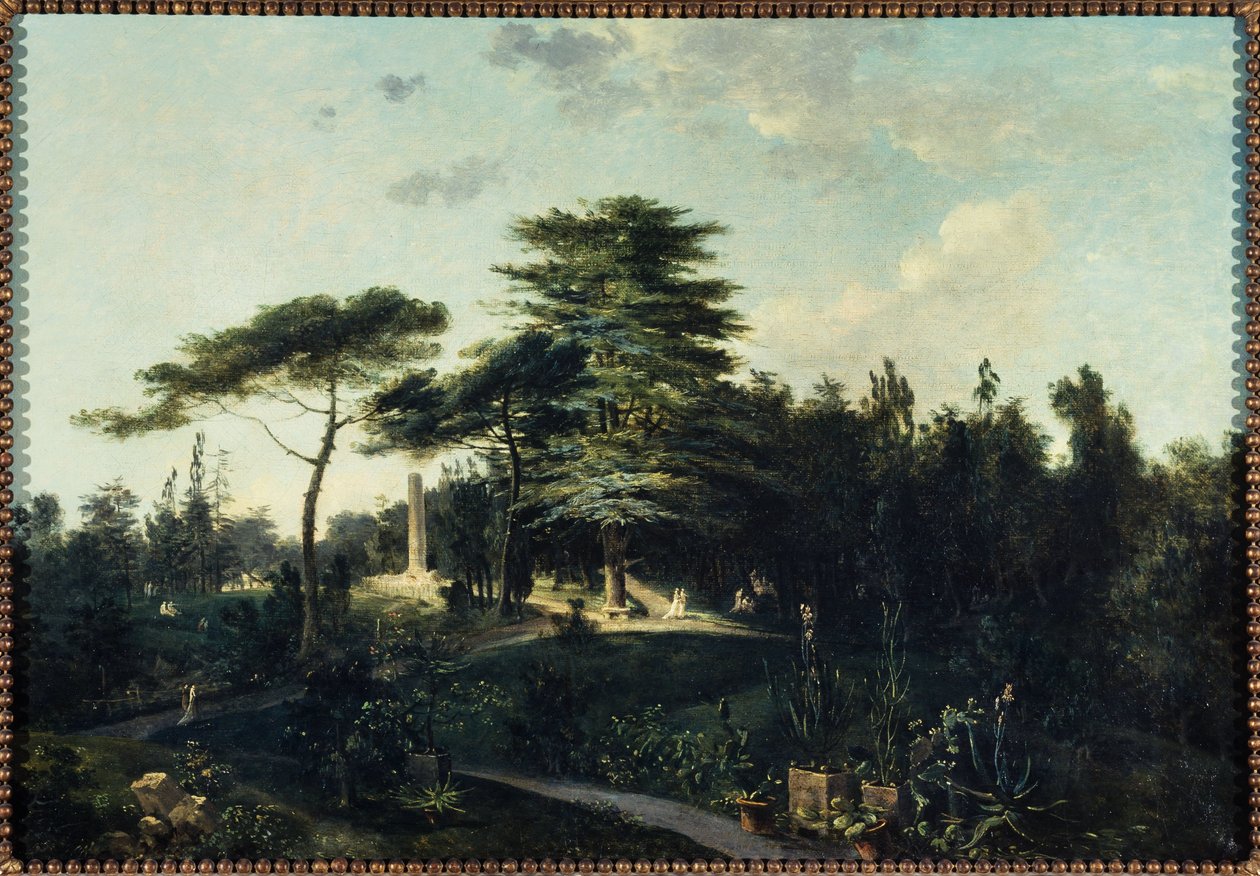 Lübnan sediri, Jardin des Plantes