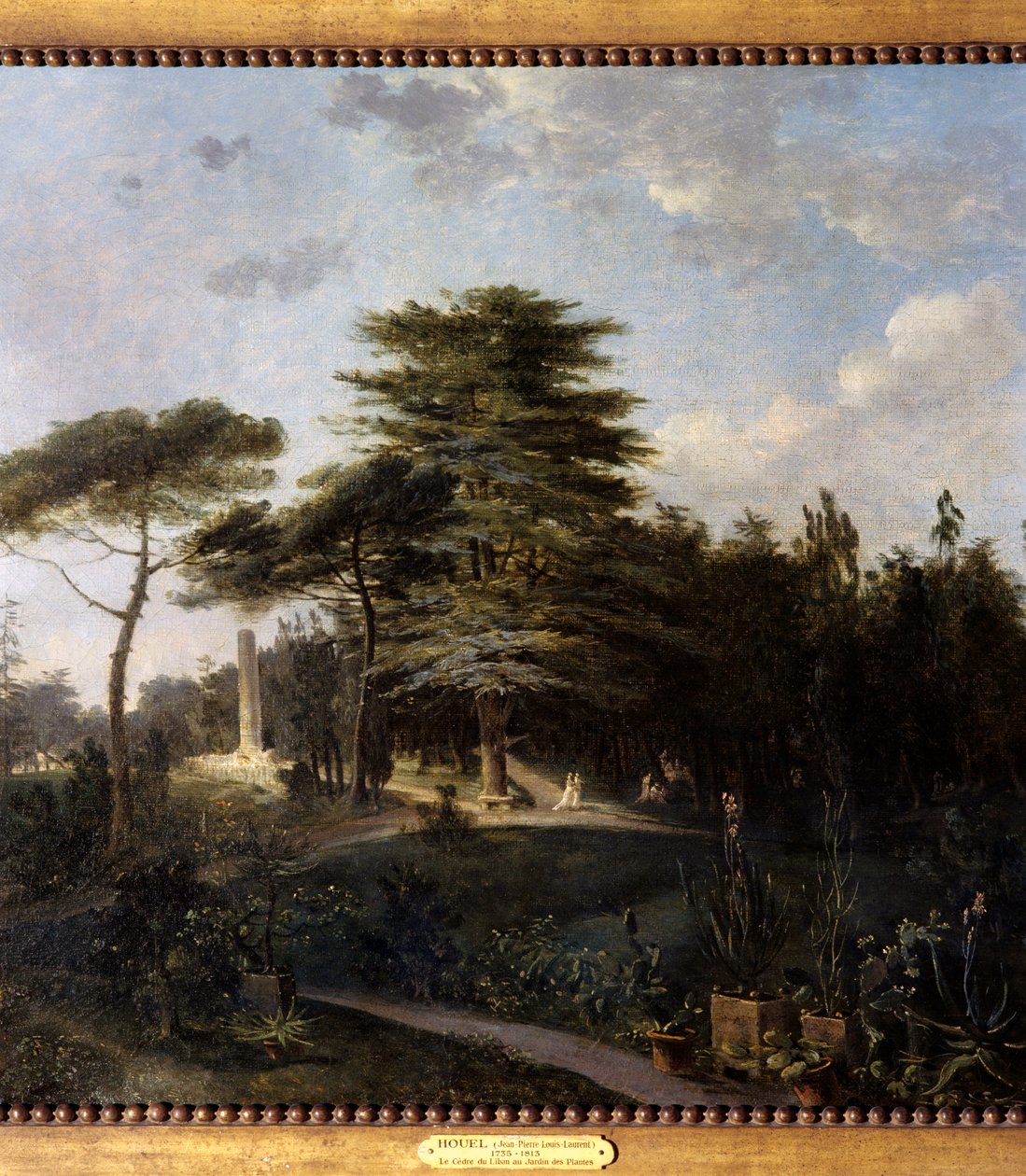 Le cedre du Liban du Jardin des Plantes Paris