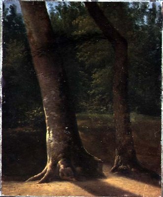 Ağaçların İncelenmesi, c.1815 (kağıt üzerine yağlı boya) by Jean Victor (attr. to) Bertin