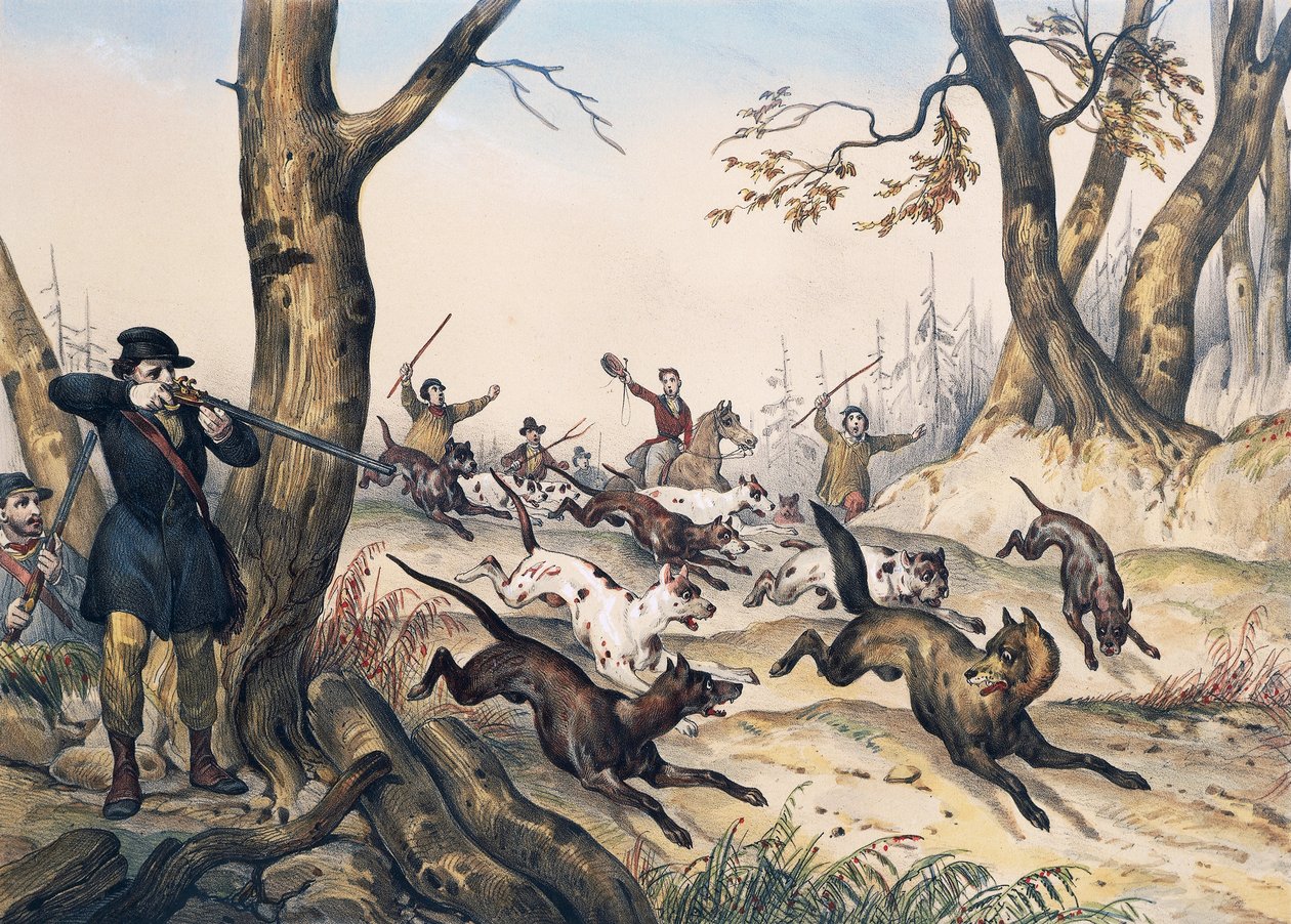 Kurt avı, gravür Jean Victor Adam (1801-1866) by Jean Victor Adam