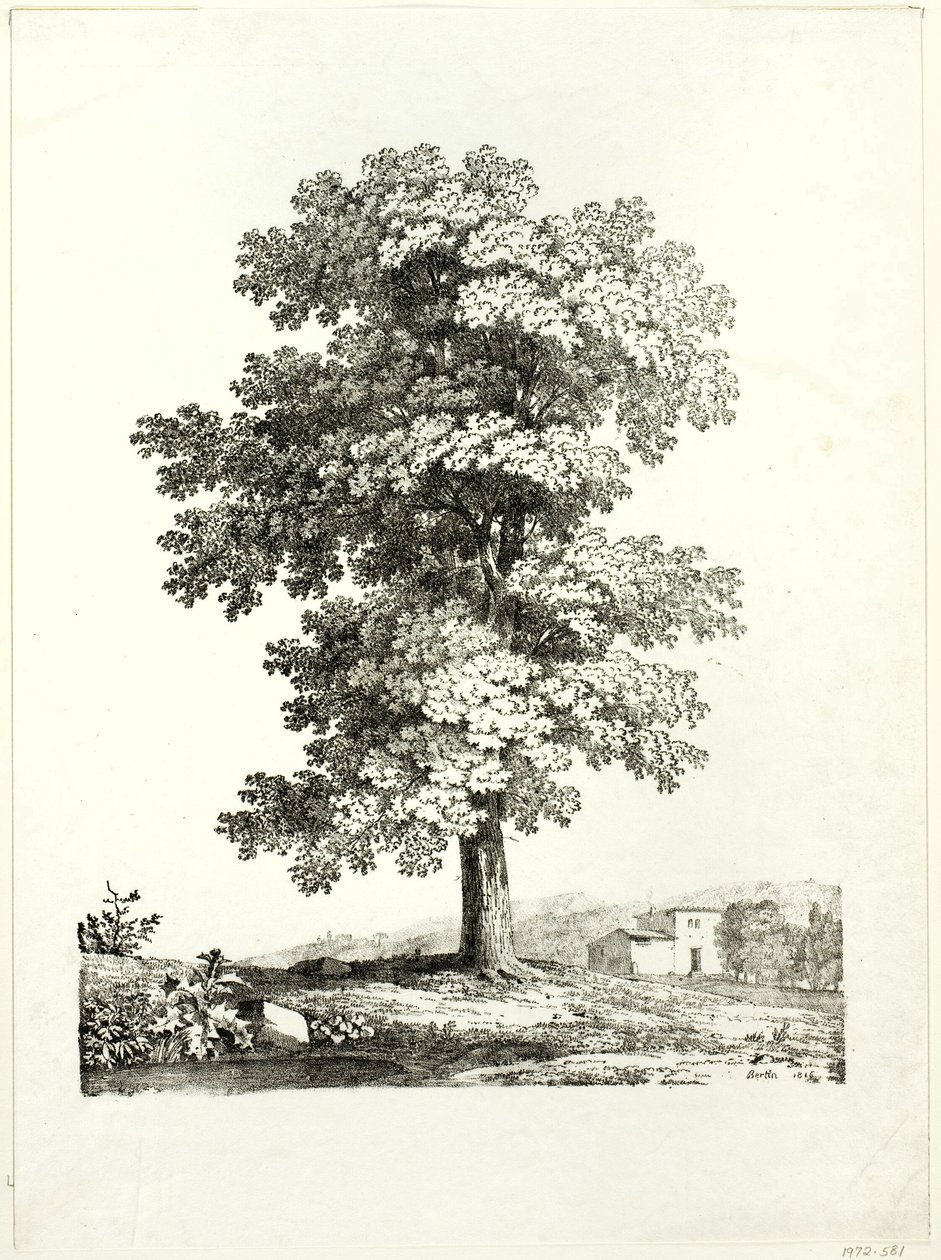 Bir Ağacın İncelenmesi by Jean Victor Bertin