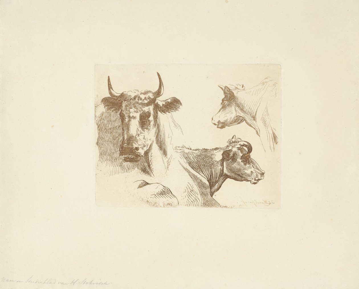 Üç inek başı by Jean Zacherie Mazel