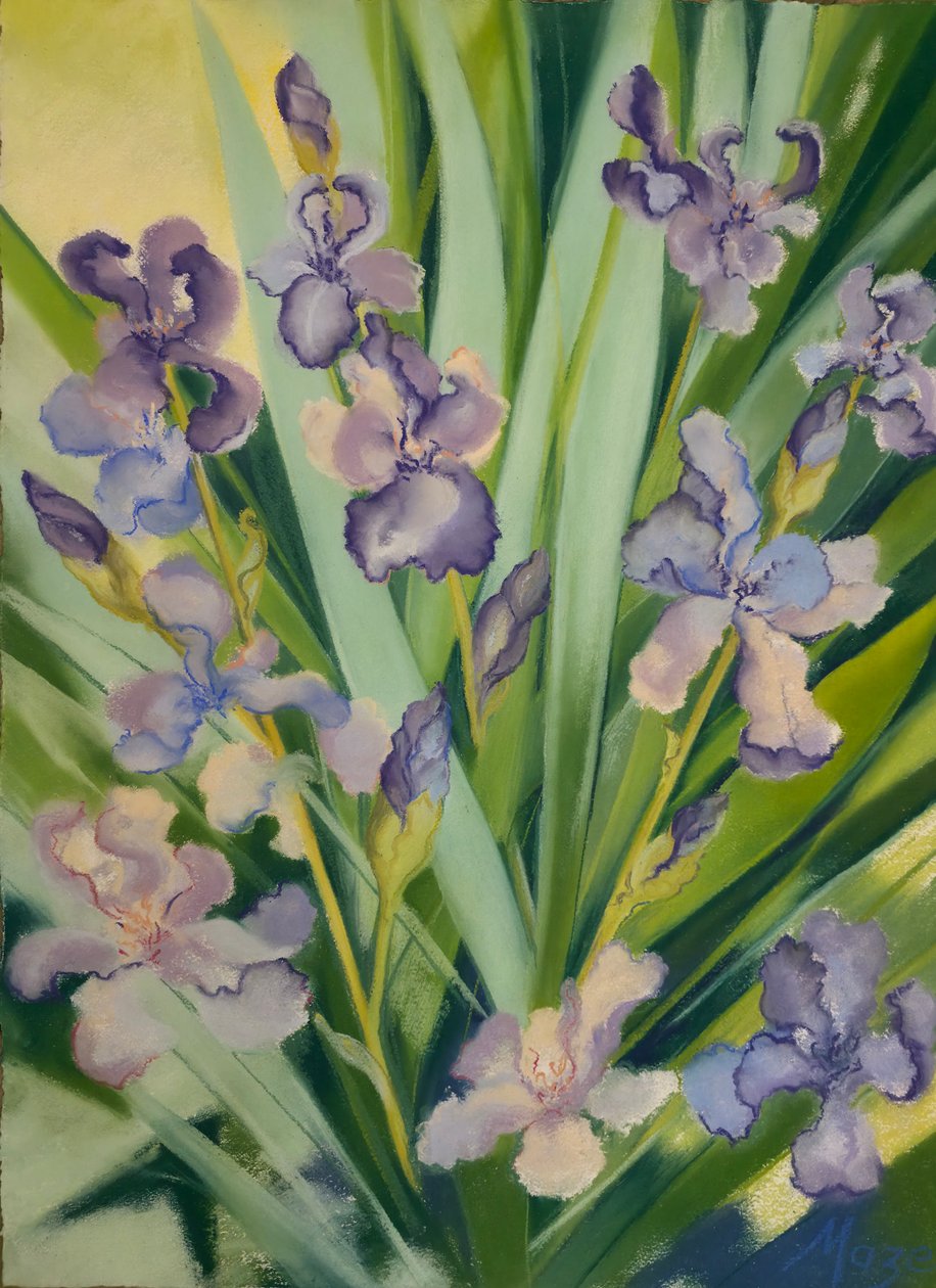  by Jeanne Maze