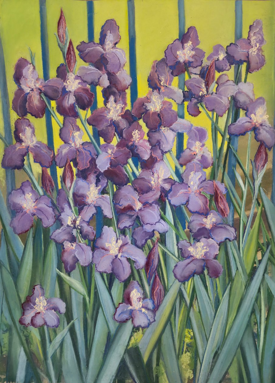  by Jeanne Maze