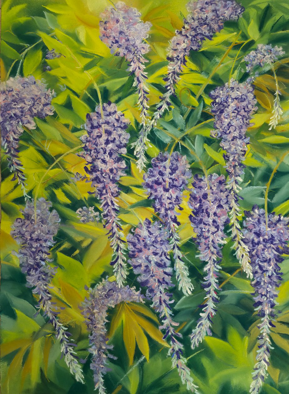  by Jeanne Maze
