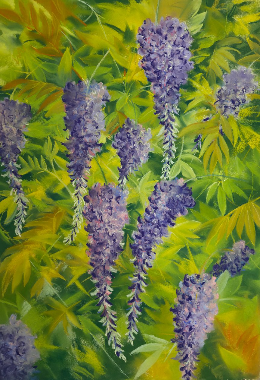  by Jeanne Maze