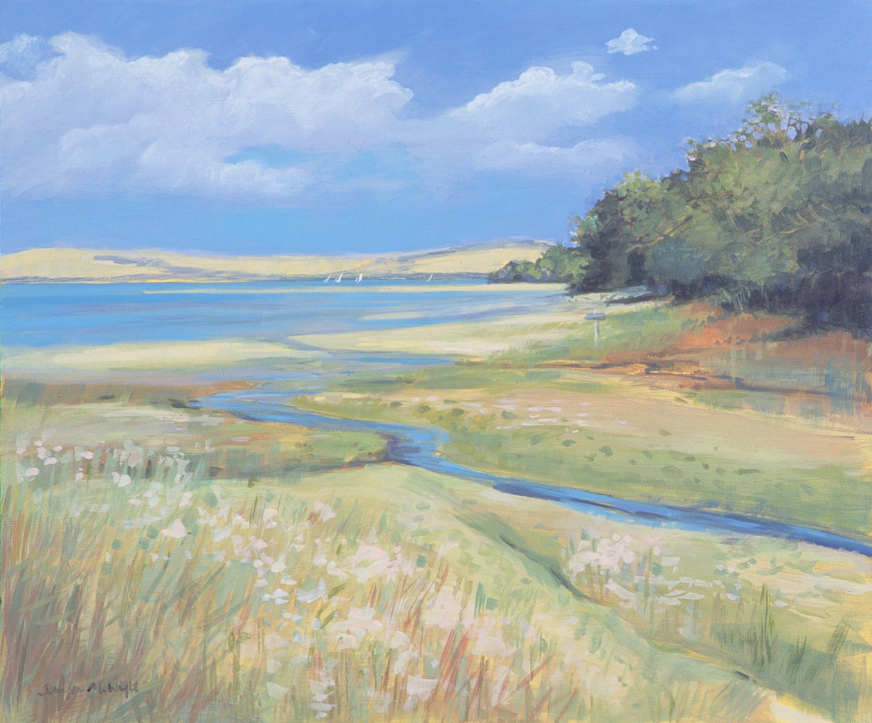 Kingsbridge Estuary 2, 2008  by Jennifer Wright