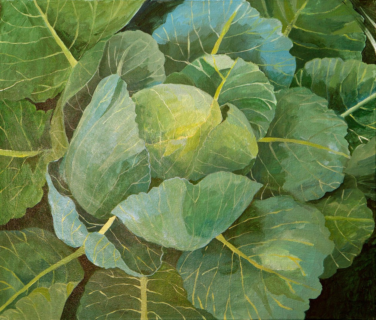  by Jennifer Abbott