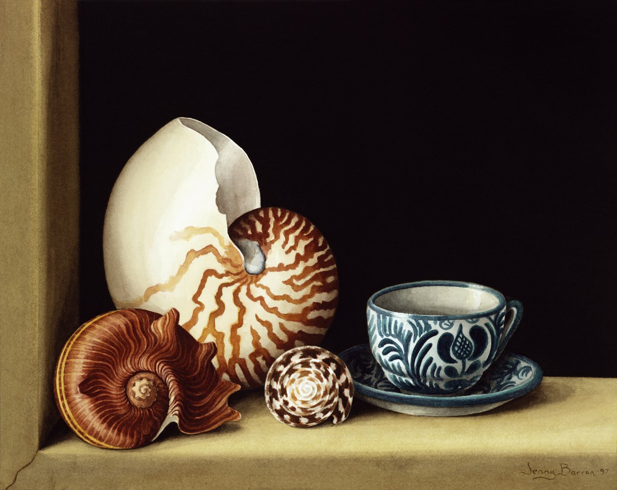 Nautilus ile natürmort, 1998 (kağıt üzerinde wc) by Jenny Barron