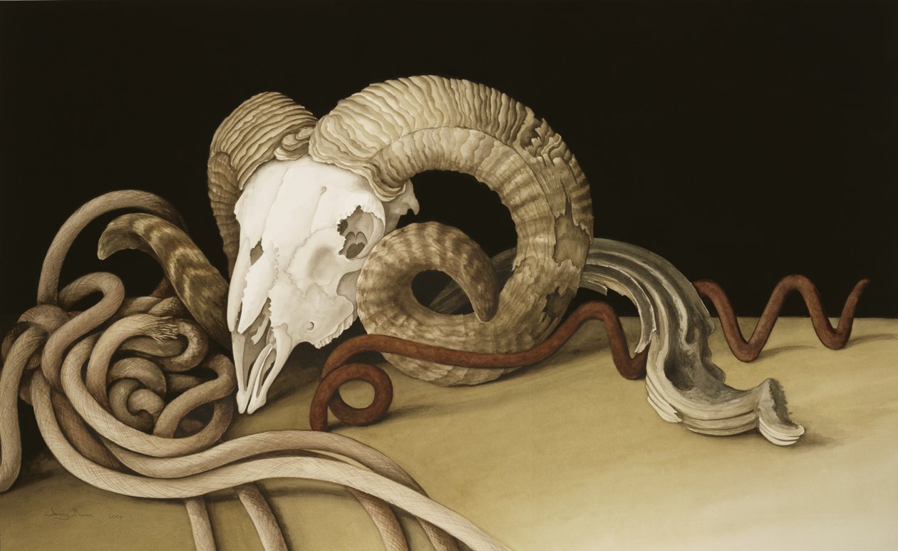 Vanitas, 2004 (kağıt üzerinde wc) by Jenny Barron