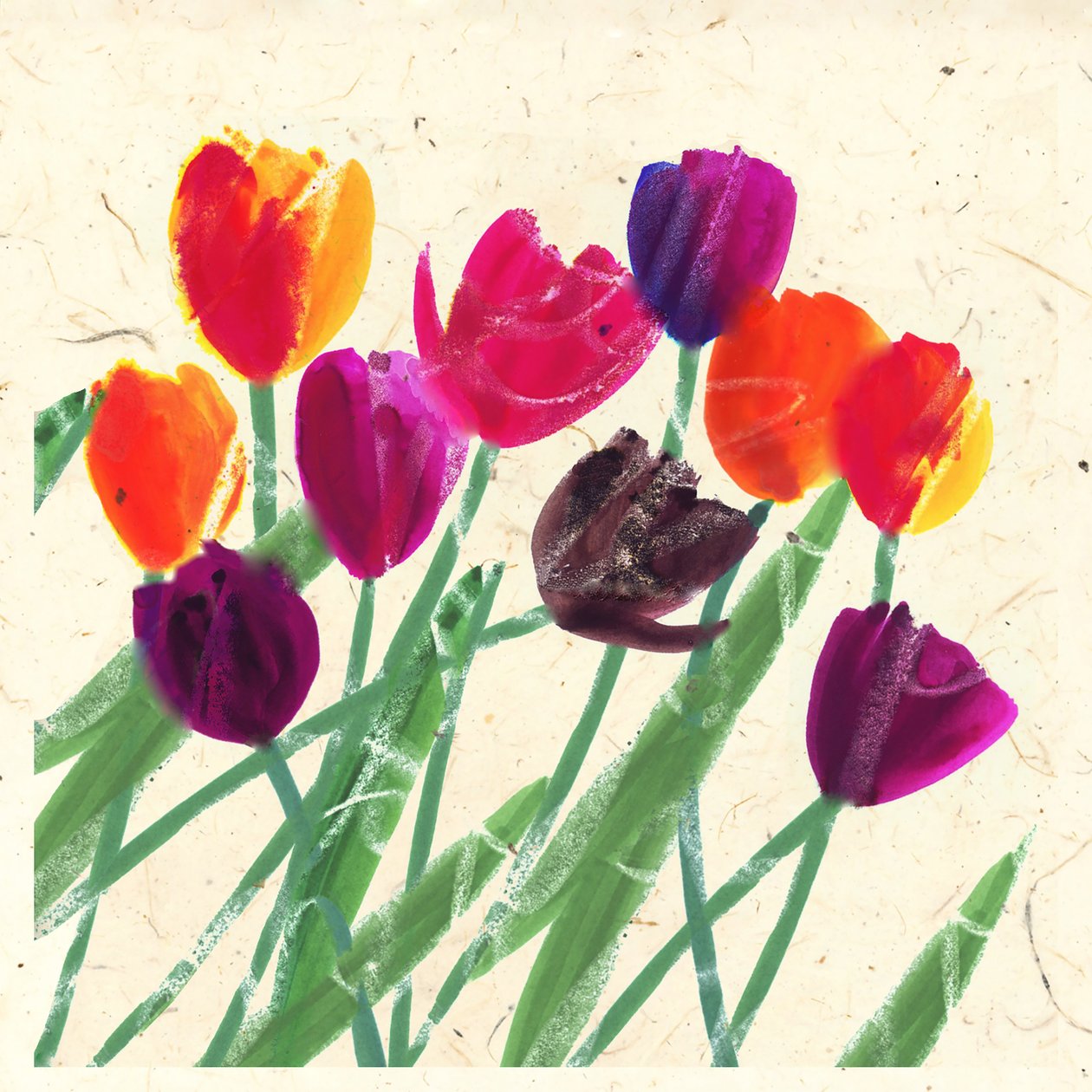 HOLLANDA GÜZELLERİ by Jenny Frean