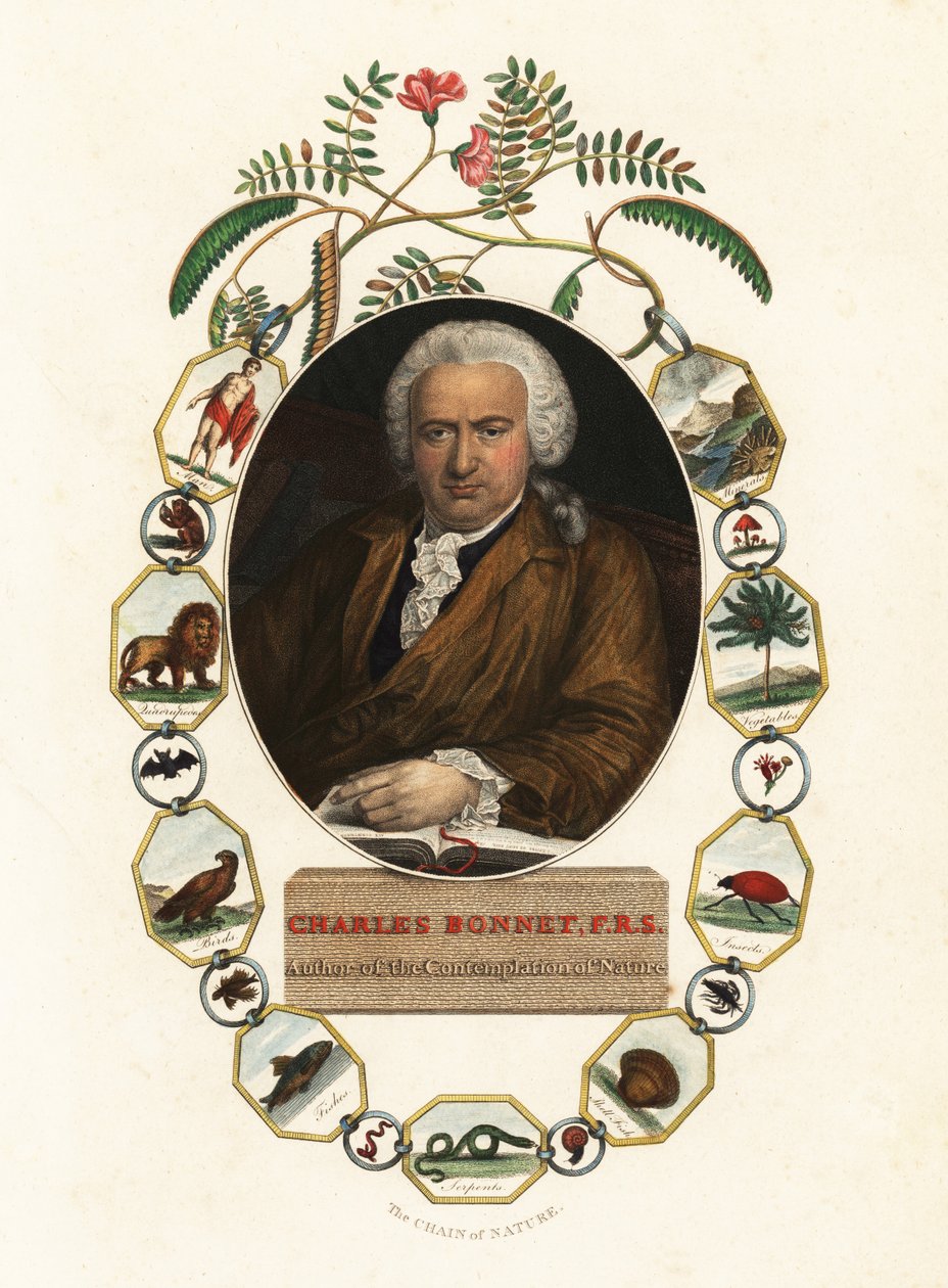 Charles Bonnet
