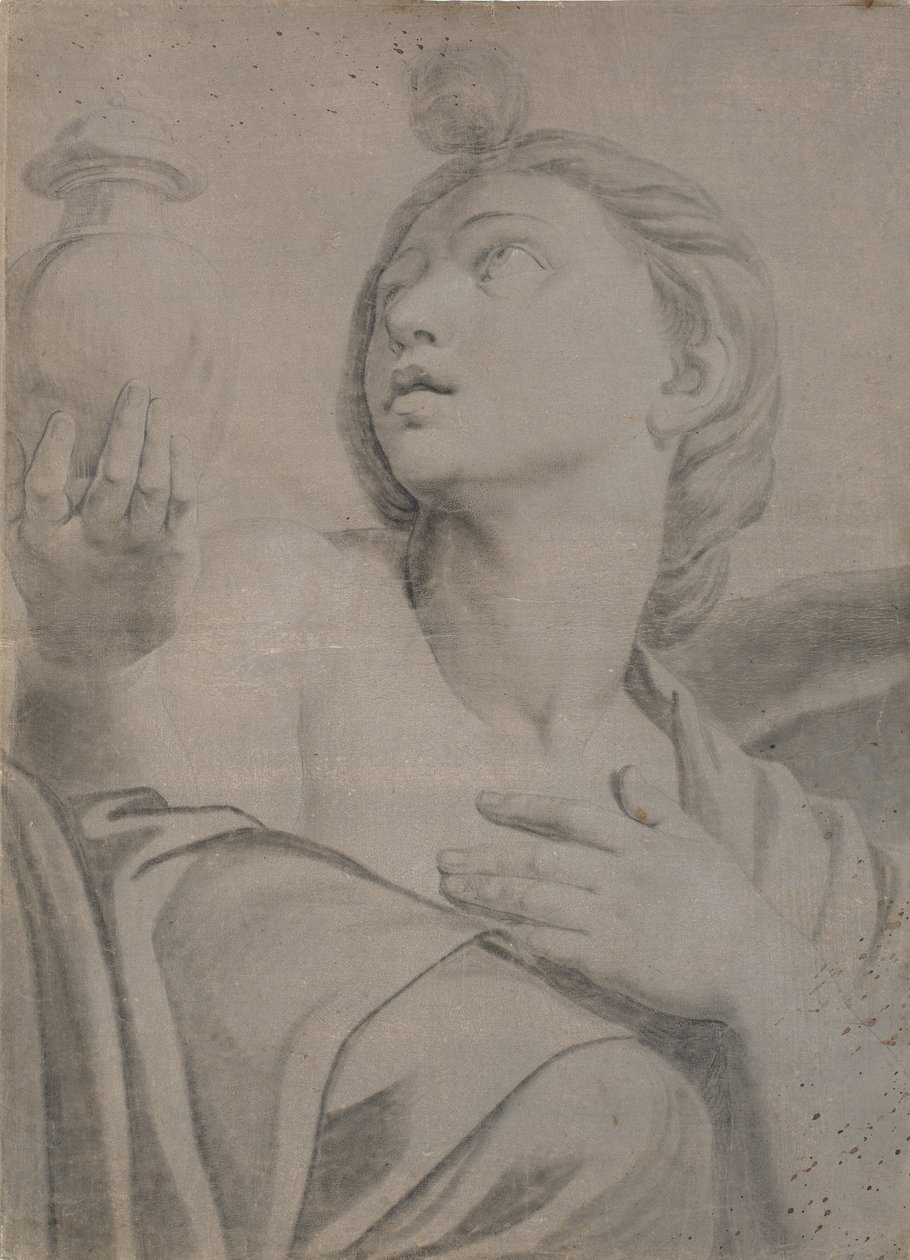 Venus Persephone