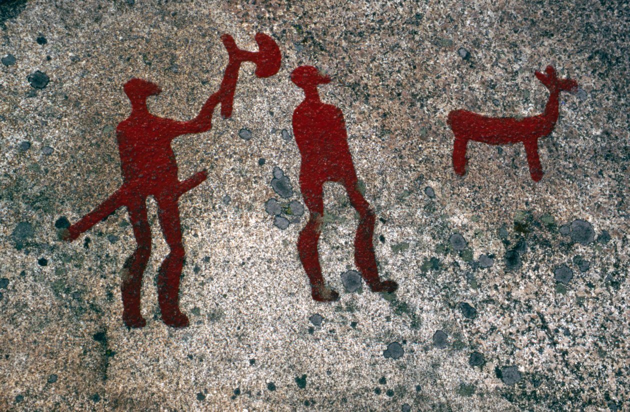 Pusu, Tunç Çağı kaya oymacılığı, Tanum, Västra Götaland, İsveç by Jerker Norlander