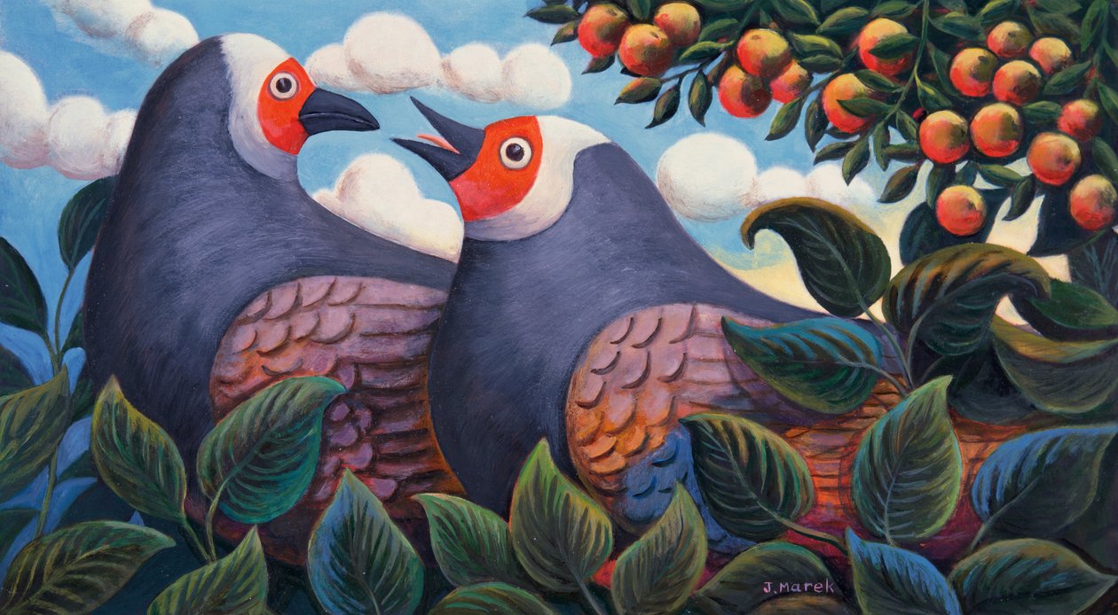 Sana Dediğim Gibi by Jerzy Marek