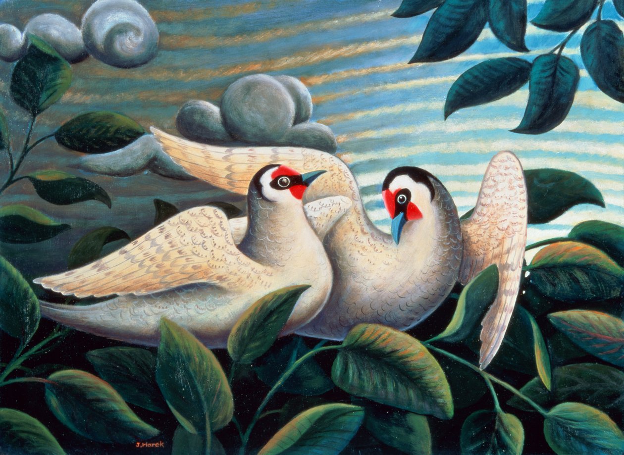 Aşk Kuşları by Jerzy Marek