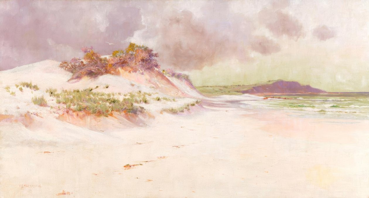 Denizin yalnız kenarı by Jessie E. Scarvell