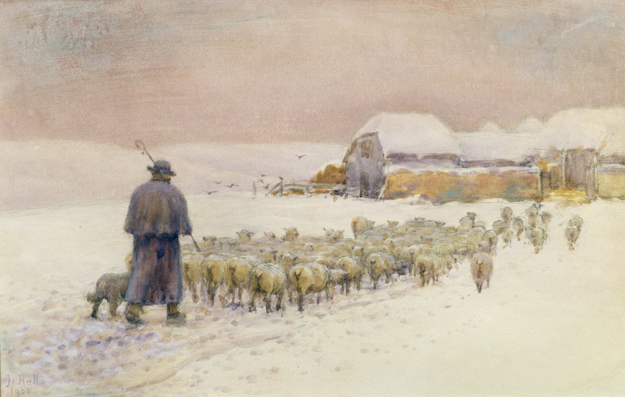 Sürüyü Getirmek, 1901 by Jessie Hall