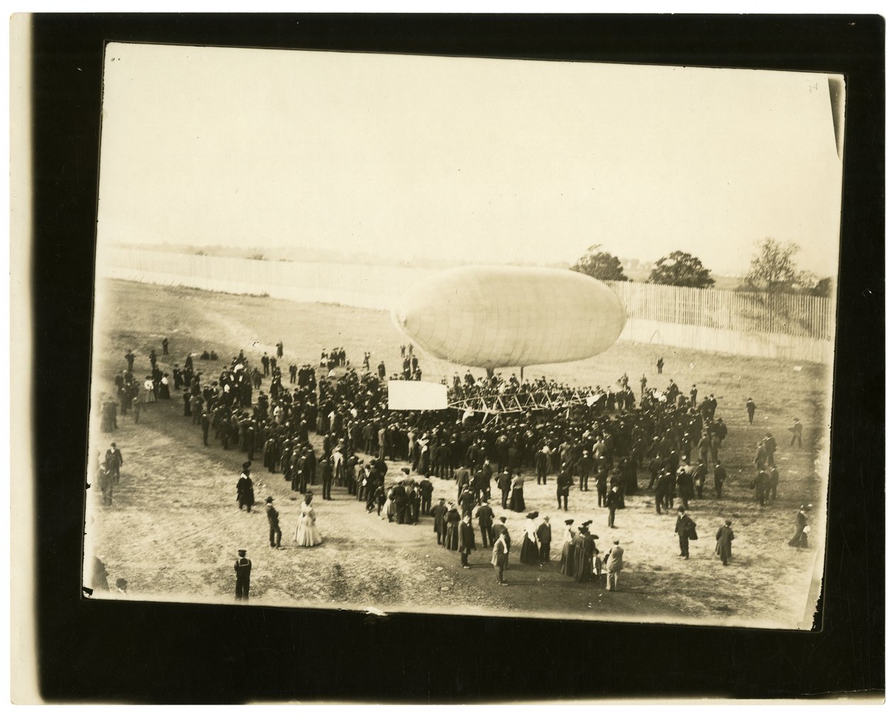 Zeplin "Kaliforniya Ok" by Jessie Tarbox Beals